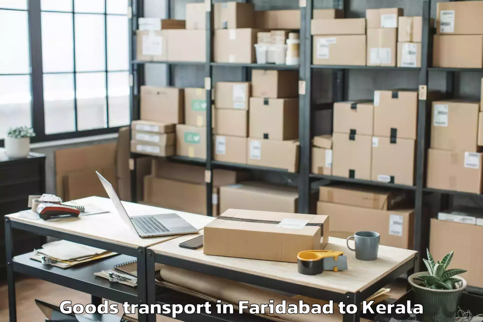 Efficient Faridabad to Thangaloor Goods Transport